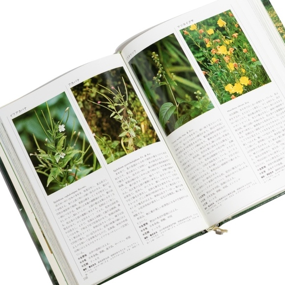 Wildflowers of Japan (Japanese Edition) with Slipcover by Yamakei Color Deluxe c - Picture 7 of 10